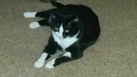 Lucy Mittens