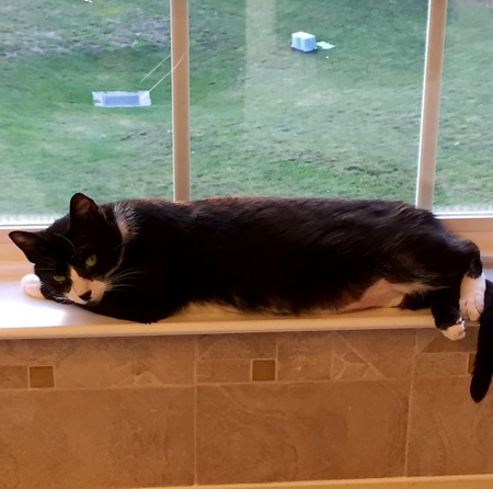 Fiona