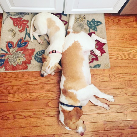 Bailey & Finn