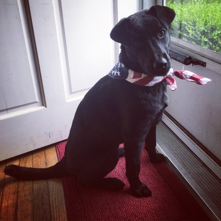 Lucy