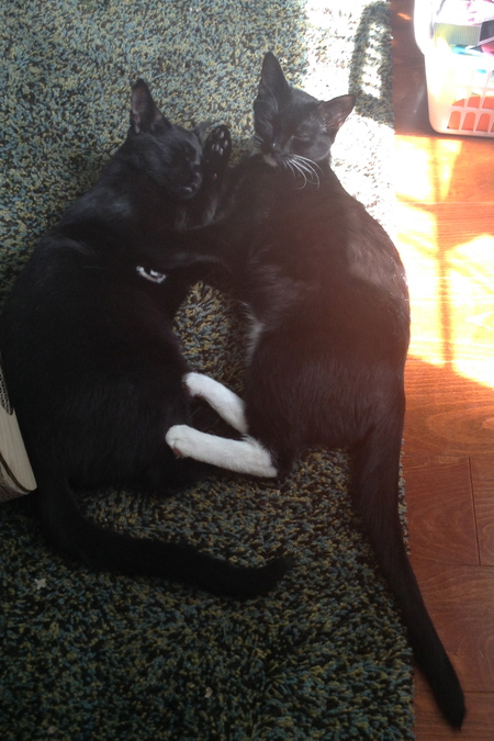Sisters Birdie & Daisy