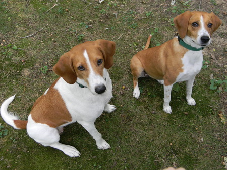 Hera and Madison