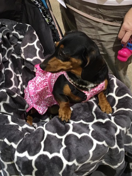 Peggy 