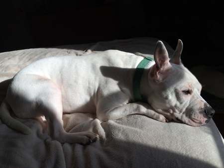 Kilo
