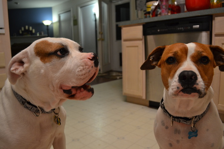 Max and Ruby