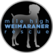 Logo for MHWR 2027 Calendar Contest