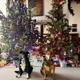 Entry image for Izzy and Brudger