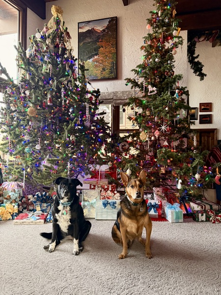 Entry image for Izzy and Brudger. Clicking this image will show a larger photo