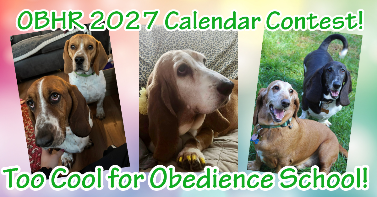 Banner for Too Cool for Obedience School