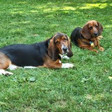 Entry image for Rudy & Oliver