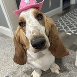Entry image for Betsy Lou