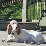 Entry image for Darla Jean OBHR Alumni 