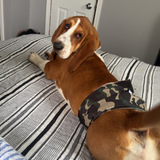 Entry image for Tucker 