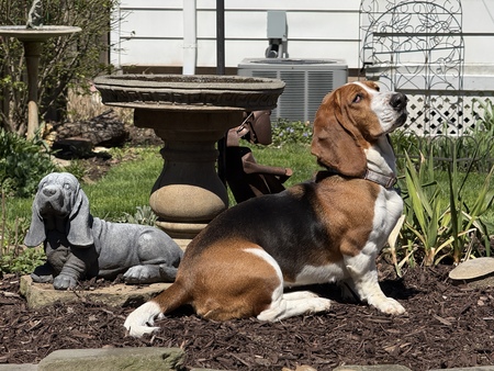 Entry image for Ms. Martha. Clicking this image will show a larger photo