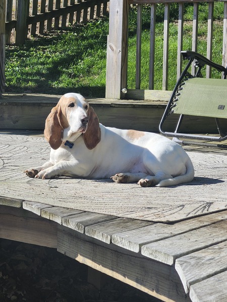 Entry image for Darla Jean OBHR Alumni . Clicking this image will show a larger photo
