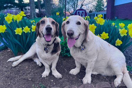 Entry image for Maybell and Frank. Clicking this image will show a larger photo