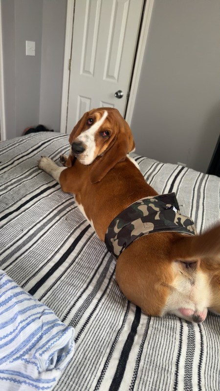 Entry image for Tucker . Clicking this image will show a larger photo