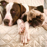 Entry image for Sophie