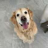 Entry image for Lola