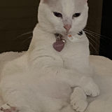 Entry image for Casper