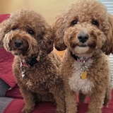 Entry image for Teddy and Kacie