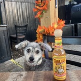Entry image for Lenny
