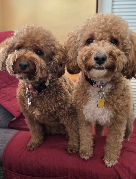 Entry image for Teddy and Kacie. Clicking this image will show a larger photo
