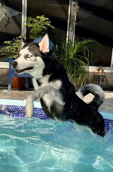 Entry image for Kaia. Clicking this image will show a larger photo