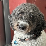 Entry image for George