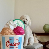 Entry image for Capuchino 