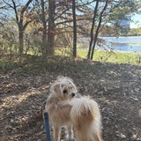 Entry image for Toby