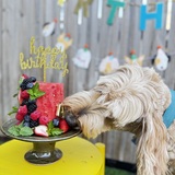 Entry image for Benny