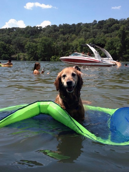 Entry image for Izzy. Clicking this image will show a larger photo