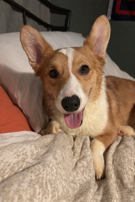 Entry image for Buddy. Clicking this image will show a larger photo