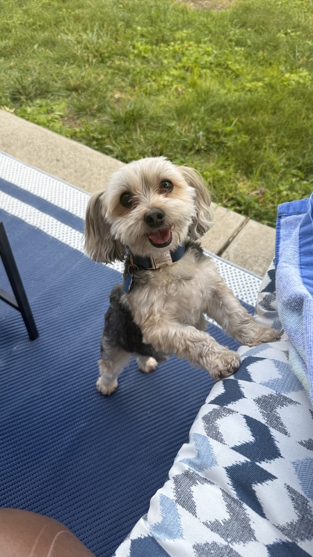 Entry image for Niko. Clicking this image will show a larger photo