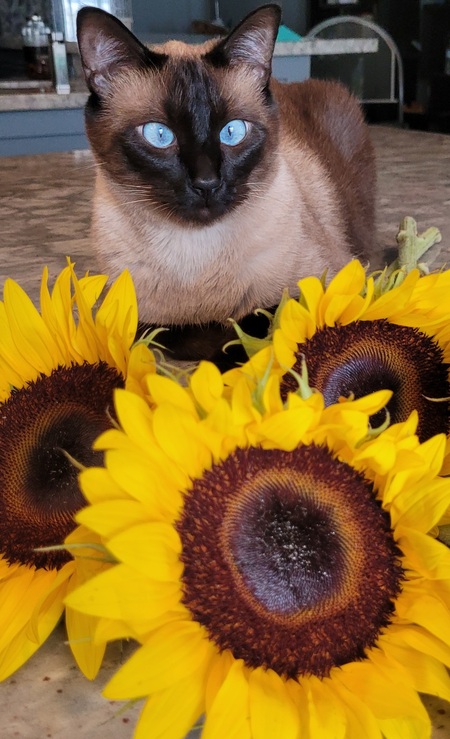 Entry image for Blü. Clicking this image will show a larger photo