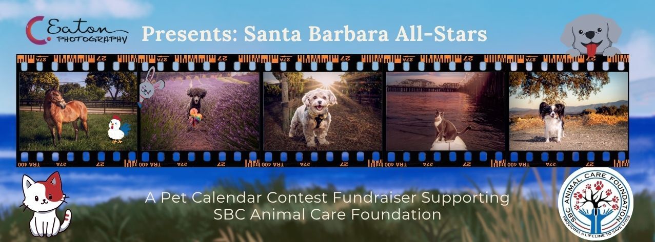 Banner for Santa Barbara County Animal Care Foundation 2026 Calendar Contest
