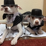 Entry image for Max and Mando