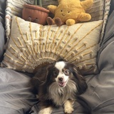 Entry image for Baby