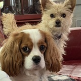 Entry image for Emma and Andy
