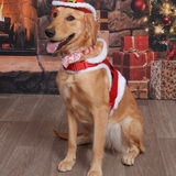 Entry image for Canela