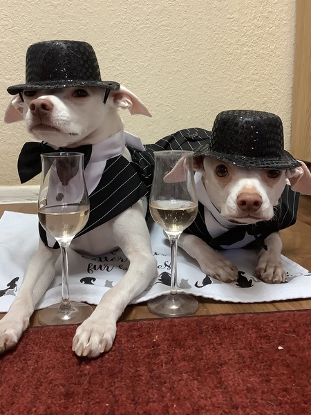 Entry image for Max and Mando. Clicking this image will show a larger photo