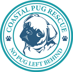 Logo for The 2027 Beach Pug Calendar Fundraiser