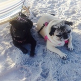 Entry image for MaeMae & Molly