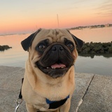 Entry image for Ernie
