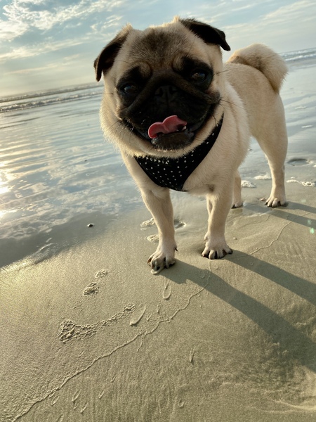 Entry image for Parker . Clicking this image will show a larger photo