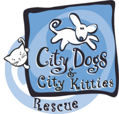 Logo for 2027 City Dogs & City Kitties Rescue Calendar Contest