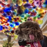 Entry image for Molly