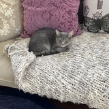 Entry image for Smokey 