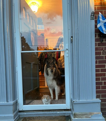 Entry image for Alexander Pegasus and Orlando . Clicking this image will show a larger photo